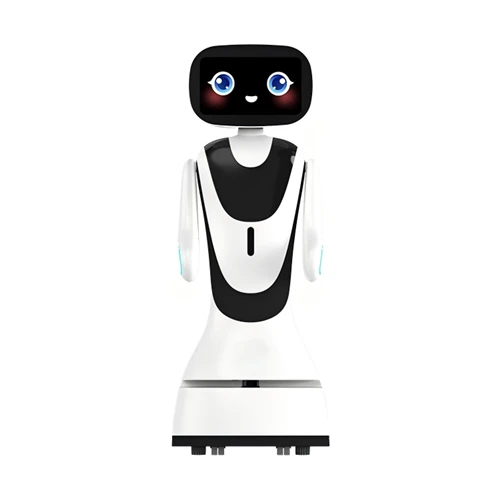 Neues Teammitglied kommt zu uns: Der intelligente humanoide Serviceroboter Xiaoyu landet in der D...